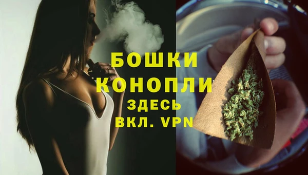 mix Белокуриха
