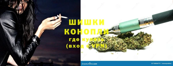стаф Белоозёрский