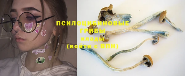 mix Белокуриха