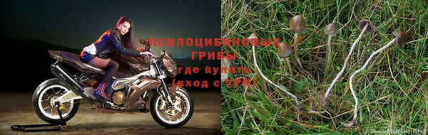альфа пвп VHQ Беломорск
