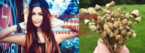 стаф Белоозёрский