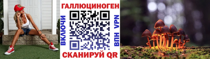 Псилоцибиновые грибы GOLDEN TEACHER  Еманжелинск 